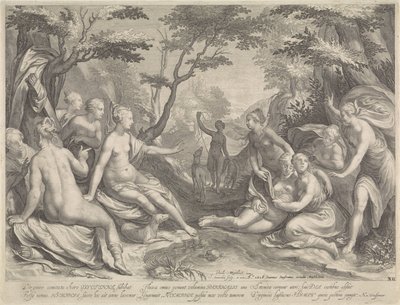 Diana felfedezi Callisto terhességét alkotó: Jan Saenredam