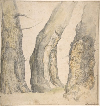 Tanulmány három öreg göcsörtös fáról, 1660. alkotó: Jan Siberechts