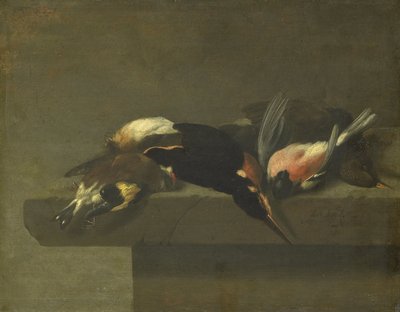 Halott madarak alkotó: Jan Vonck