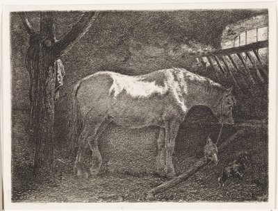 Ló istállóban alkotó: Johannes Martinus Vrolijk