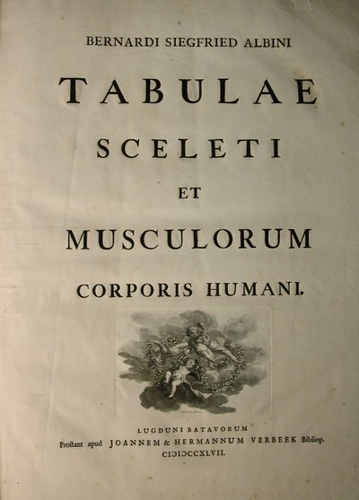Albinus I, címlap, a "Tabulae sceleti et musculorum corporis humani" című műből, írta Bernhard Siegfried Albinus (1697-1770), kiadta J.undH. Verbeek, bibliop., Leiden, 1747. alkotó: Jan Wandelaar