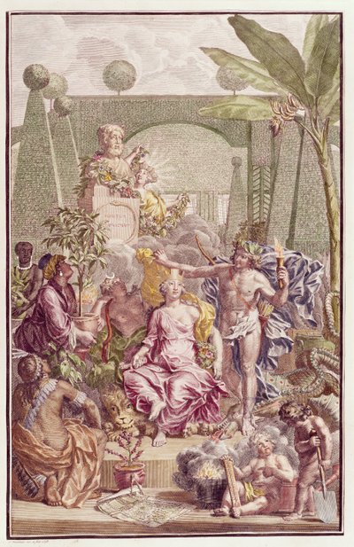 Carl Linnaeus (1707-78) „Hortus Cliffortianus” című művének előképe alkotó: Jan Wandelaar