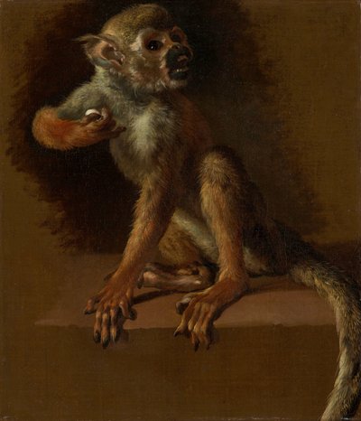 Egy ülő majom alkotó: Jan Baptist Weenix