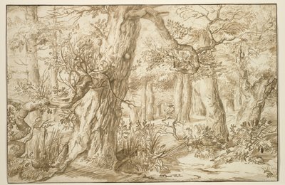 Forest Interior with Draftsman, 1664 körül (barna tinta antik fektetett papíron) alkotó: Jan the Elder Lievens