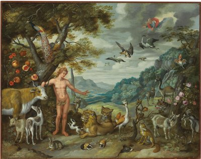 Ádám az állatok elnevezése, Ádám és Éva története című filmből alkotó: Jan Brueghel the Younger