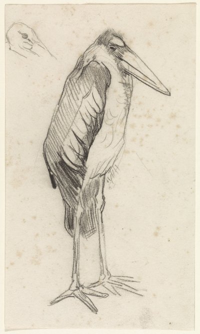 Marabu alkotó: Jan van Essen