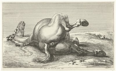 elesett ló Dead Horses (sorozat címe) alkotó: Jan van Huchtenburg
