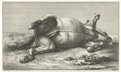 Döglött ló a bal oldalán fekszik Dead Horses (sorozat címe) alkotó: Jan van Huchtenburg