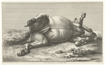 Döglött ló a bal oldalán fekszik Dead Horses (sorozat címe) alkotó: Jan van Huchtenburg