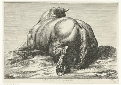 Elesett ló a hasán hátulról nézve Dead Horses (sorozat címe) alkotó: Jan van Huchtenburg