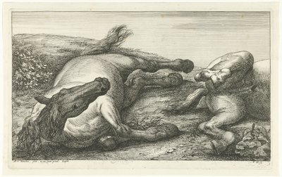 Két elesett ló, a bal oldali szemből nézve Dead Horses (sorozat címe) alkotó: Jan van Huchtenburg