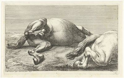 Két elesett ló, a jobb oldalról nézve Dead Horses (sorozat címe) alkotó: Jan van Huchtenburg