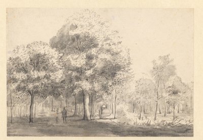 Kilátás a Haarlemmerhoutra, Haarlem alkotó: Jan van Kessel (attributed to)