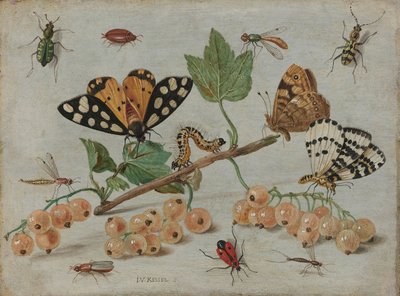 Rovarok és gyümölcsök, 1660-1665 körül (olaj, réz) alkotó: Jan van Kessel the Elder