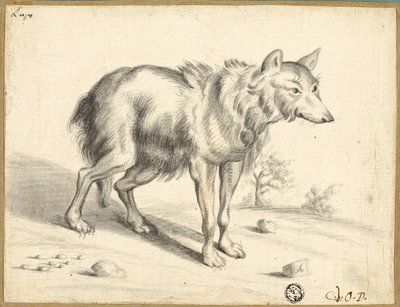 Farkas alkotó: Jan van Os