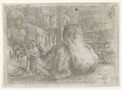 Fekvő teve alkotó: Jan van Ossenbeeck