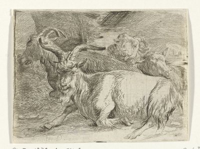 Két kecske és két bárány alkotó: Jan van Ossenbeeck