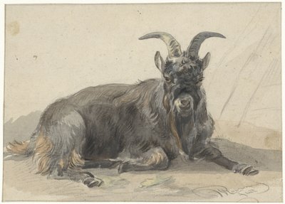 Fekvő fekete kecske alkotó: Jan van Ravenswaay