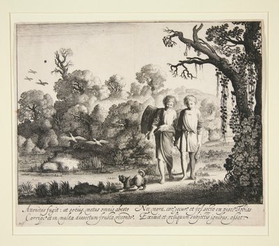 Tóbiás és az angyal, a hallal a Tóbiás történetéből alkotó: Jan van de Velde II
