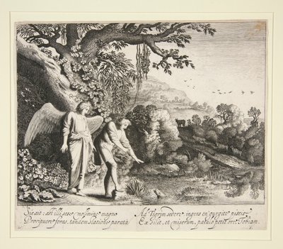 Tóbiás meglátja a halat, a Tóbiás történetéből alkotó: Jan van de Velde II
