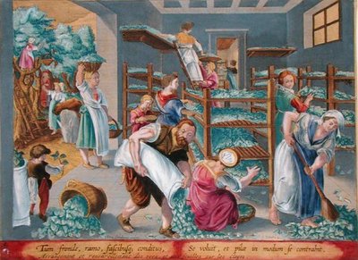Női polcokat eperfalevelekkel bélelve a selyemhernyók számára, 5. tábla a „Vermis Sericus”-ból (A selyemhernyó), Philip Galle (1537-1612) metszetével (metszet) alkotó: Jan van der Straet