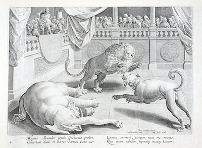 Nagy Sándor látványt, oroszlán, kutya és elefánt harcot állít fel, illusztráció a „Venationes, Ferarum, Avium, Piscium” (A vadászatról: Vadállatok, madarak, halak) című könyvből, Jan Collaert (1566-1628), kocsma. . írta: Phillipus Gallaeus, Amszterdam (met alkotó: Jan van der Straet