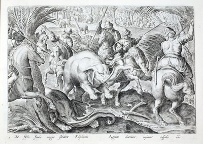 Az elefántok nagy zajt adnak, ahogy megütik őket a vadászok lándzsái, illusztráció a „Venationes, Ferarum, Avium, Piscium” (A vadászatról: Vadállatok, madarak, halak) című könyvből, metszett: Jan Collaert (1566-1628), kocsma. írta: Phillipus Gallaeus, Amsz alkotó: Jan van der (1523 1605) Straet