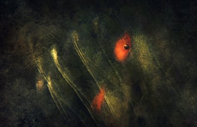  alkotó: Jan van der Linden