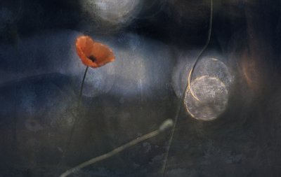  alkotó: Jan van der Linden