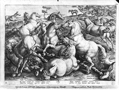 Lovak a vadonban alkotó: Jan van der Straet