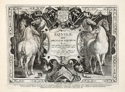 Illusztráció a "Venationes, Ferarum, Birds, Fish" (A vadászatról: Vadállatok, madarak, halak) című könyvből, vésette: Jan Collaert (1566-1628), kocsma. Írta: Phillipus Gallaeus, Amszterdam alkotó: Jan van der Straet