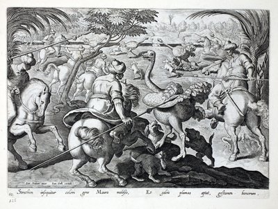 Mórok lóháton vadászó struccok, 62. tábla, illusztráció a „Venationes, Ferarum, Avium, Piscium” (Vadászatról: Vadállatok, madarak, halak) könyvéből, metszett: Jan Collaert (1566-1628), kocsma. Phillipus által alkotó: Jan van der Straet