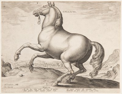 Egy francia ló, az "Equile Joannis Austriaci" első sorozatából alkotó: Jan van der Straet, called Stradanus