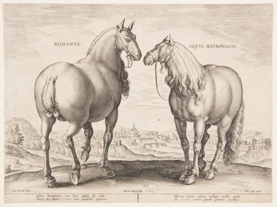 Egy római ló, az "Equile Joannis Austriaci" első sorozatából alkotó: Jan van der Straet, called Stradanus