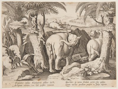Cavemen Chasing Elephants, 3. lemez a Vadon élő állatok, madarak és halak vadászata sorozatból alkotó: Jan van der Straet, called Stradanus