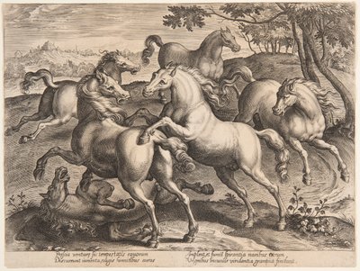 Fighting Horses, az "Equile Joannis Austriaci" negyedik sorozatából alkotó: Jan van der Straet, called Stradanus