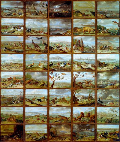 Állatok A különböző állatfajoknak megfelelő rekeszeket bemutató táblázat. Jan Van Kessel (1626-1679) festménye, 17. századi Madrid, Prado Múzeum alkotó: Jan van the Elder Kessel