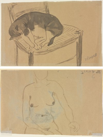 Alvó macska (recto) Egy meztelen nő törzse (verso) alkotó: Jane Poupelet