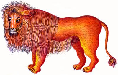 Oroszlán Oroszlán, 1996 (tinta és gouache) alkotó: Jane Tattersfield