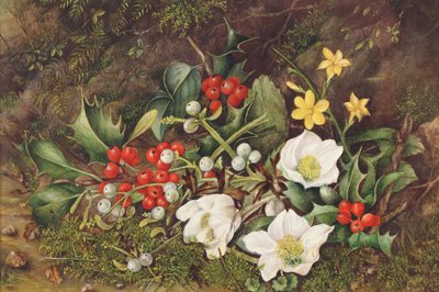 Holly and Christmas Roses (wc papíron) alkotó: Jane Taylor