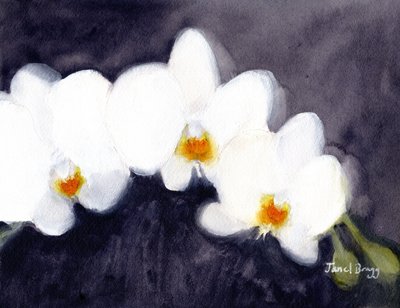 Orchidea White Phalaenopsis, 2021 körül (akvarell és kazein, papír) alkotó: Janel Bragg