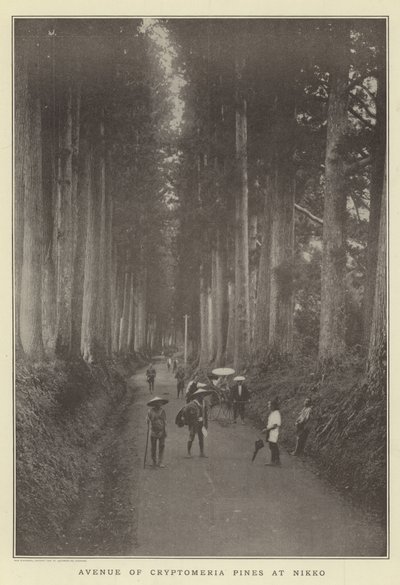 A Cryptomeria fenyők sugárútja, Nikko alkotó: Japanese Photographer