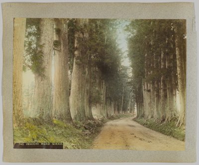 Imaichi Road, Nikko, Japán (kézzel színezett fekete-fehér fotó) alkotó: Japanese Photographer