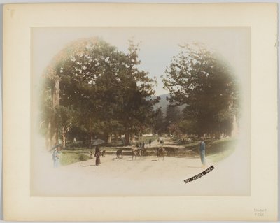 Kasuga, Nara, Japán (kézzel színezett fekete-fehér fotó) alkotó: Japanese Photographer