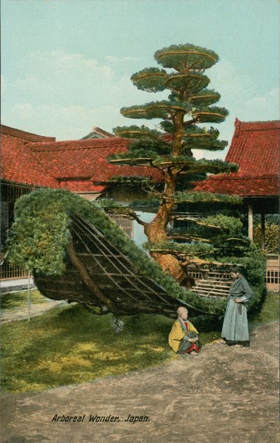 Csónak alakú díszfa Japánban (színes fotó) alkotó: Japanese Photographer