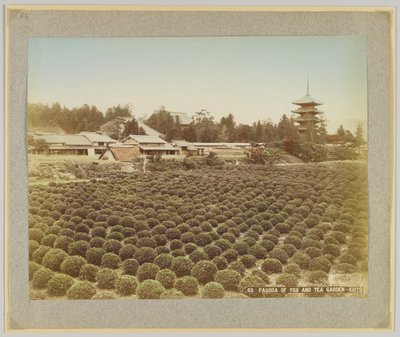 Toji pagoda és teakert, Kiotó, Japán (kézzel színezett fekete-fehér fotó) alkotó: Japanese Photographer