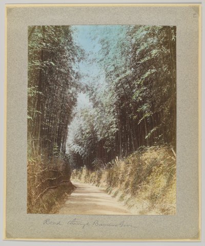 Út egy bambuszligeten keresztül, Japán (kézzel színezett fekete-fehér fotó) alkotó: Japanese Photographer