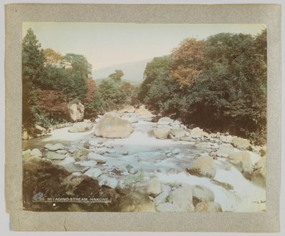Stream Miyagino, Hakone, Kanagawa prefektúra, Japán (kézzel színezett fekete-fehér fotó) alkotó: Japanese Photographer