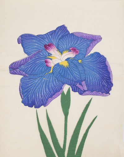 Azumabotan, No. 89, 1890 (színes fatömbnyomat) alkotó: Japanese School