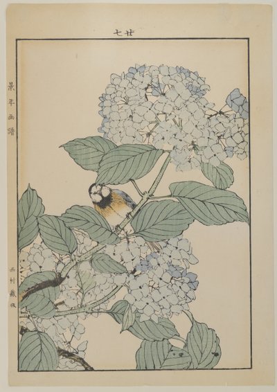 Hortenziás madár, Meiji-korszak, 1868-1912 körül (színes fatömbnyomat) alkotó: Japanese School